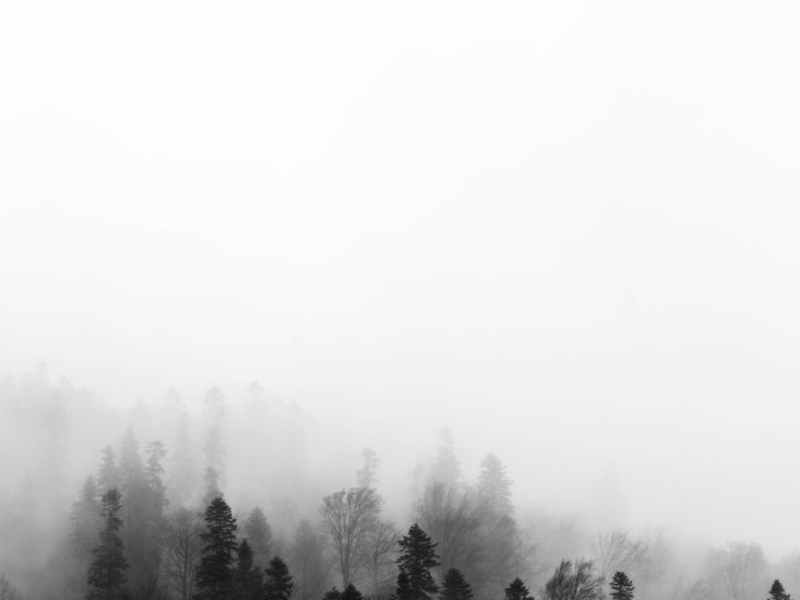 A morte do povo colorido